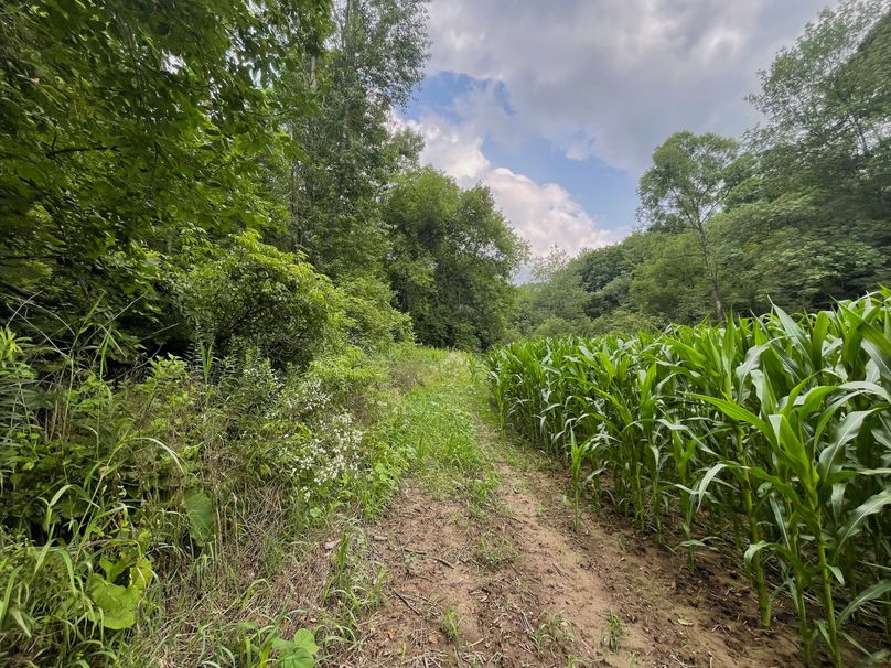 Monroe 20 - 35 of 51