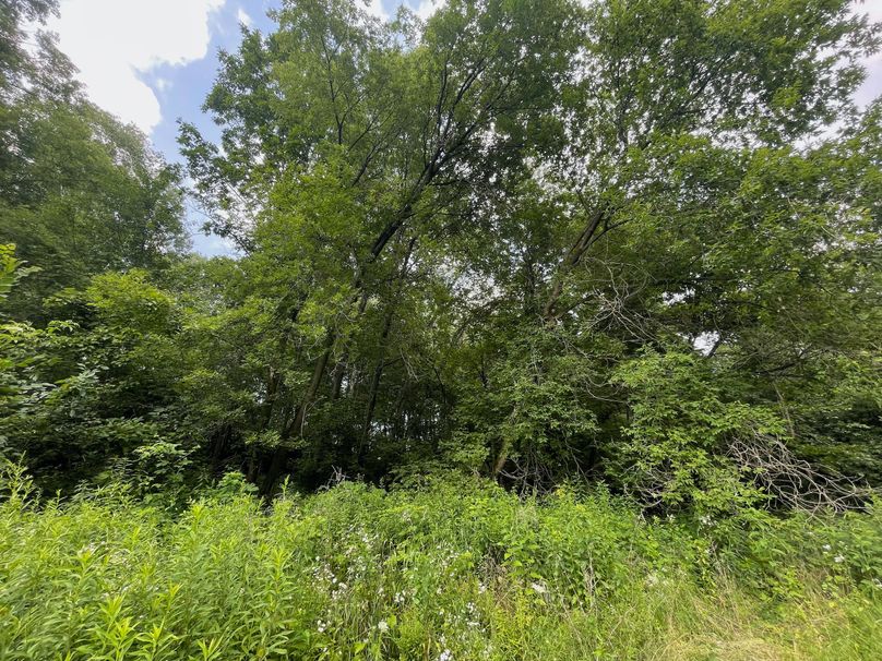 Monroe 20 - 36 of 51