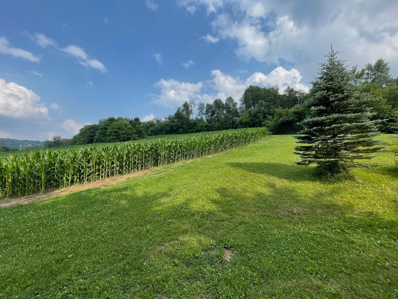 Monroe 20 - 37 of 51