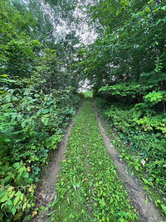 Monroe 20 - 38 of 51