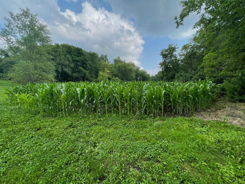 Monroe 20 - 33 of 51