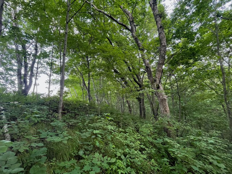 Monroe 20 - 44 of 51