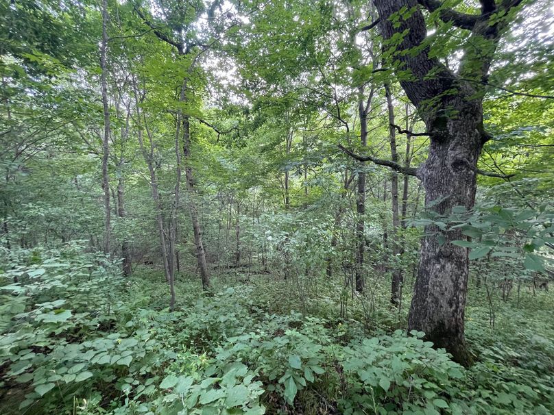 Monroe 20 - 45 of 51