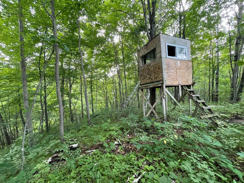 Monroe 20 - 46 of 51