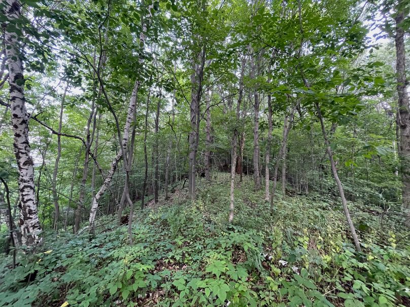 Monroe 20 - 48 of 51