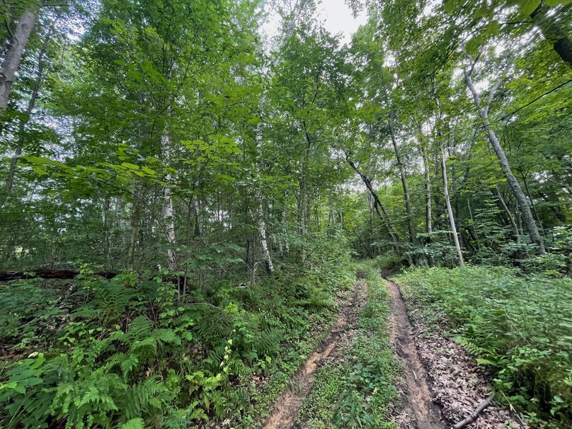 Monroe 20 - 49 of 51