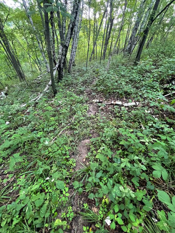 Monroe 20 - 41 of 51