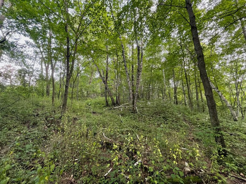 Monroe 20 - 42 of 51