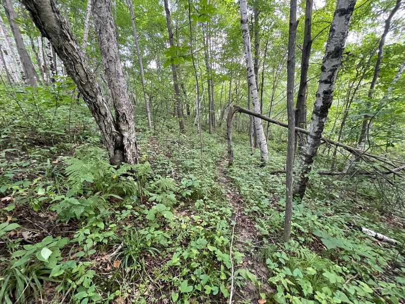 Monroe 20 - 43 of 51