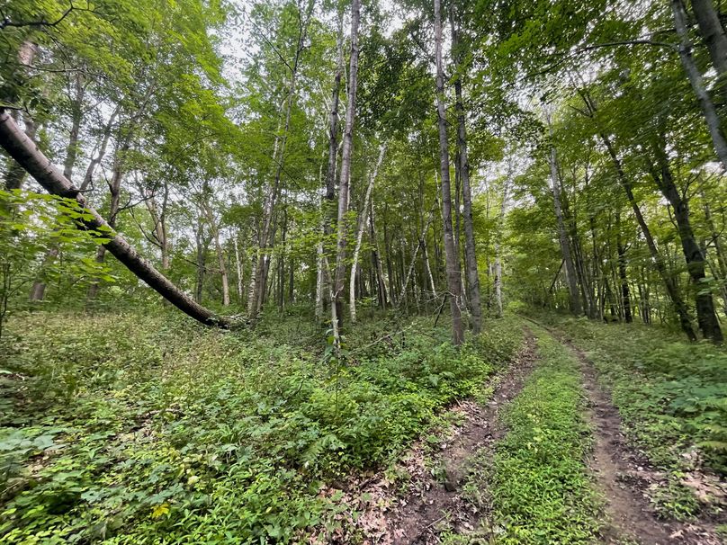 Monroe 20 - 50 of 51