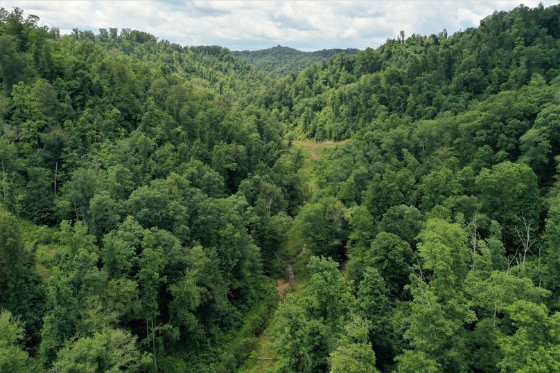 007 aerial drone shot at low elevation in puckett branch