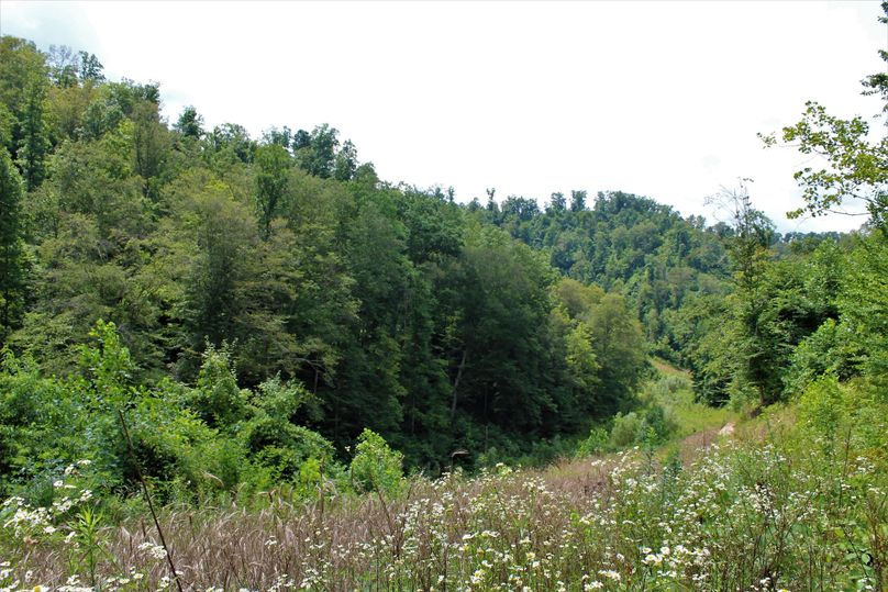 005 some of the recent reclaimed efforts really doing nicely