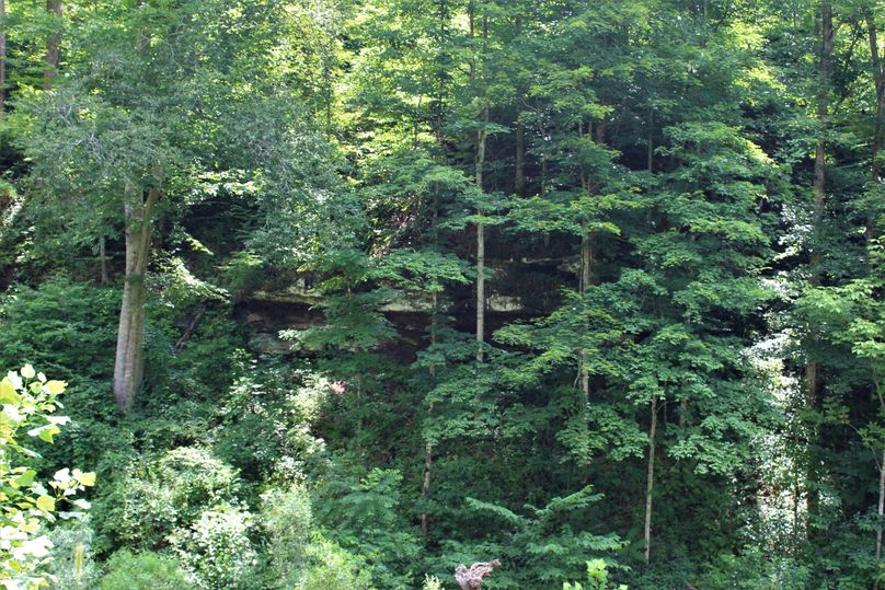 008 look closely and you can see the rock outcropping and face