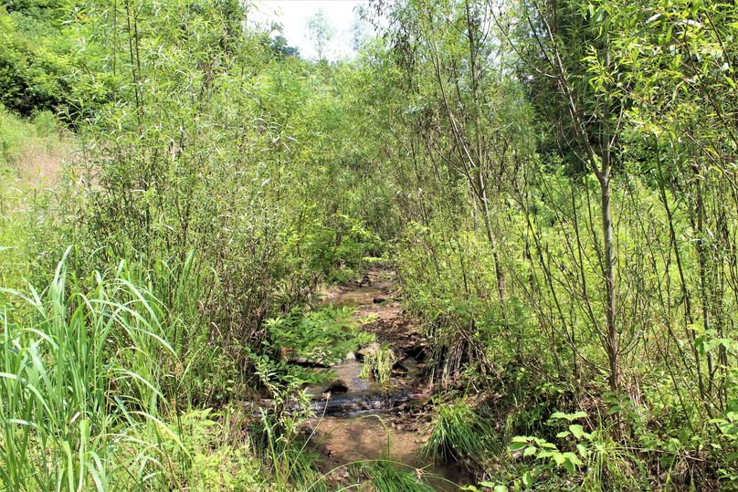 010 stream enhancement and bank stabilization efforts really paid off on this property