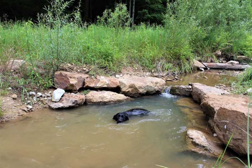 011 never passing up the opportunity to take a quick swim