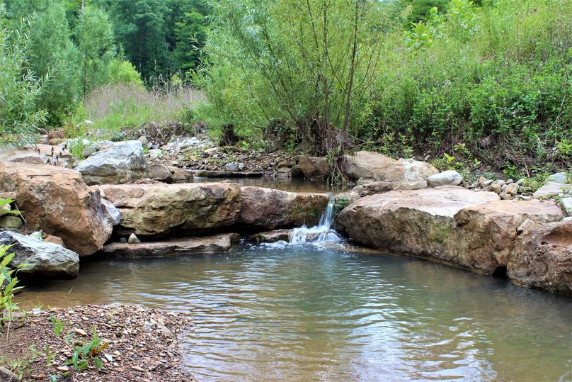 017 another of the mitigation efforts to help nature along on this beautiful stream