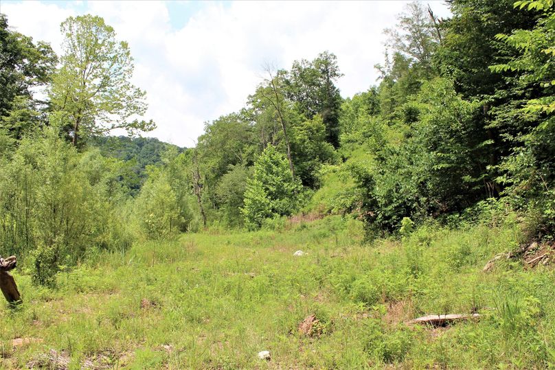 014 one of the open field areas adjacent to the stream in the lower elevations