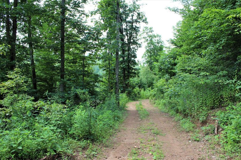 015 nice network of roads leading throughout providing access to the ridges