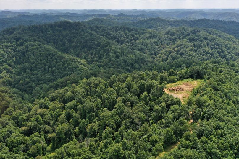019 aerial drone shot looking south down graham branch