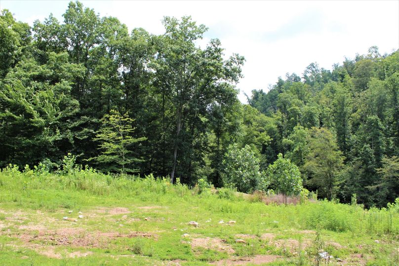 020 nice forest opening with excellent cabin potential