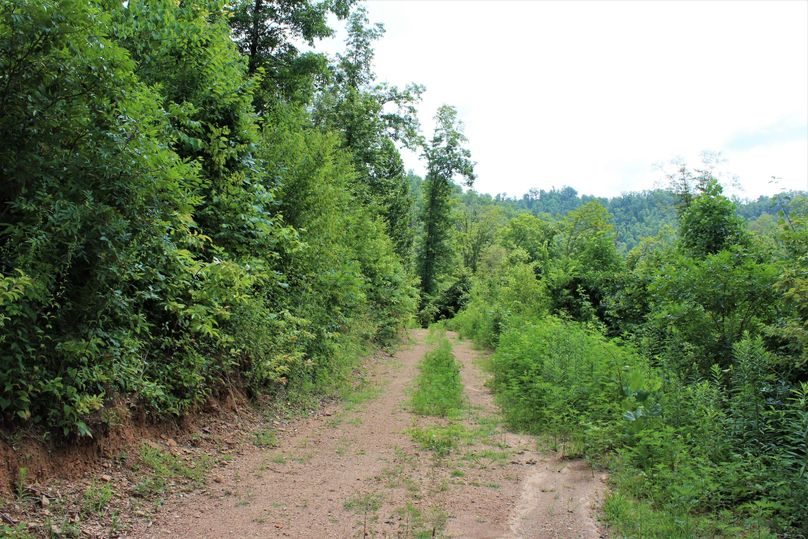 024 an internal network road leading west up puckett branch