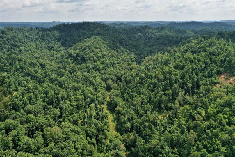 025 aerial drone shot at the head of puckett branch looking east
