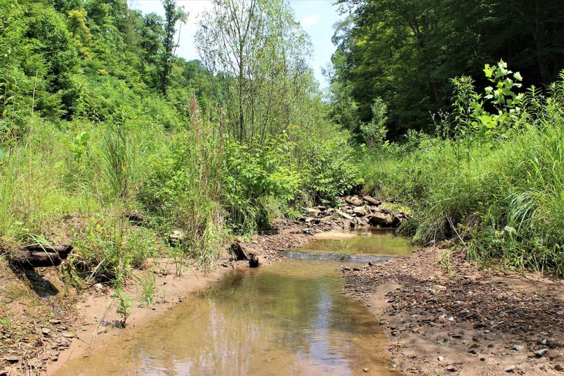 026 such a beautiful mountain stream