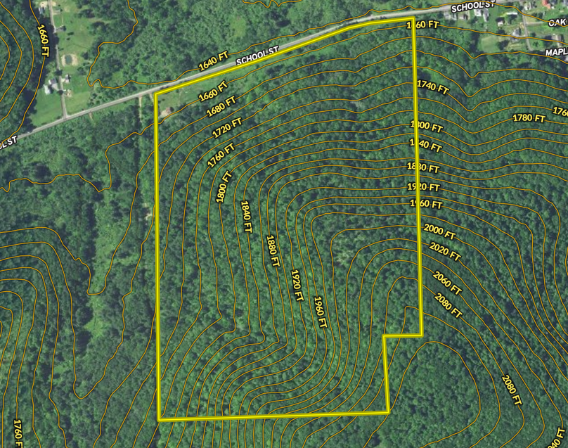 Screen shot 2021-07-19 at 12.34.21 pm