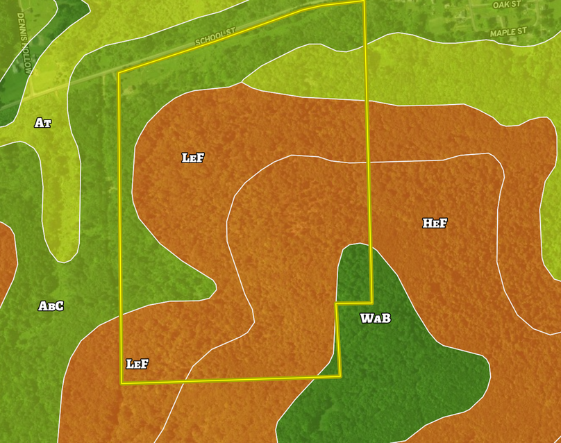 Screen shot 2021-07-19 at 12.34.36 pm