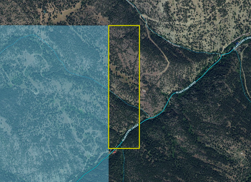 Screen shot 2021-07-22 at 4.14.13 pm