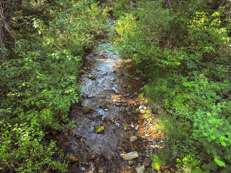 1. 20210714-dji 0042