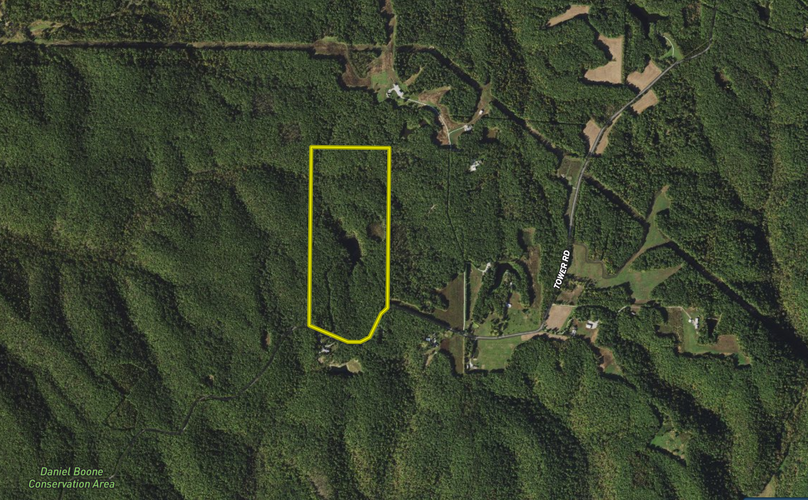 Screen shot 2021-07-22 at 1.39.10 pm