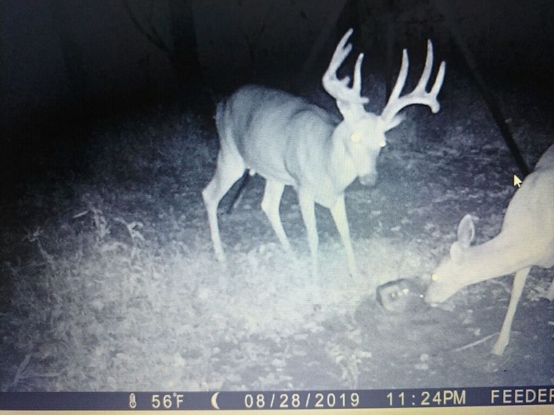 Trail cam1