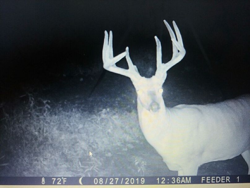Trail cam3