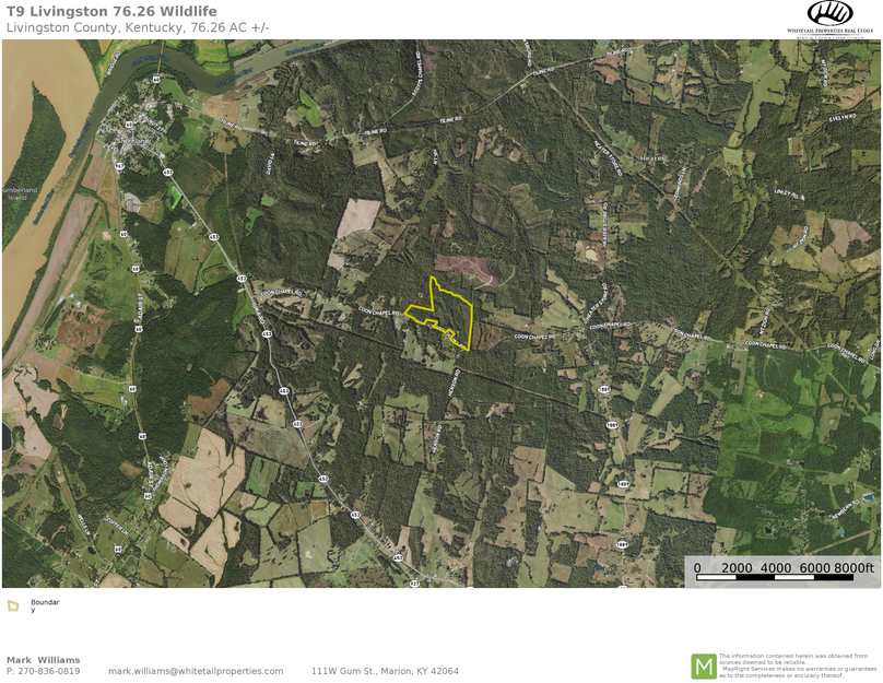 Livingston 76.26 airplane