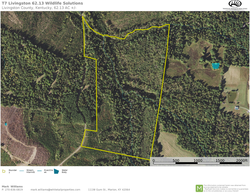 Livingston 62.13 aerial