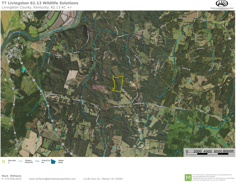 Livingston 62.13 airplane