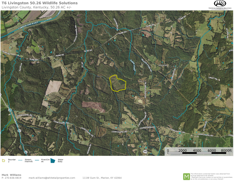 Livingston 50.26 airplane