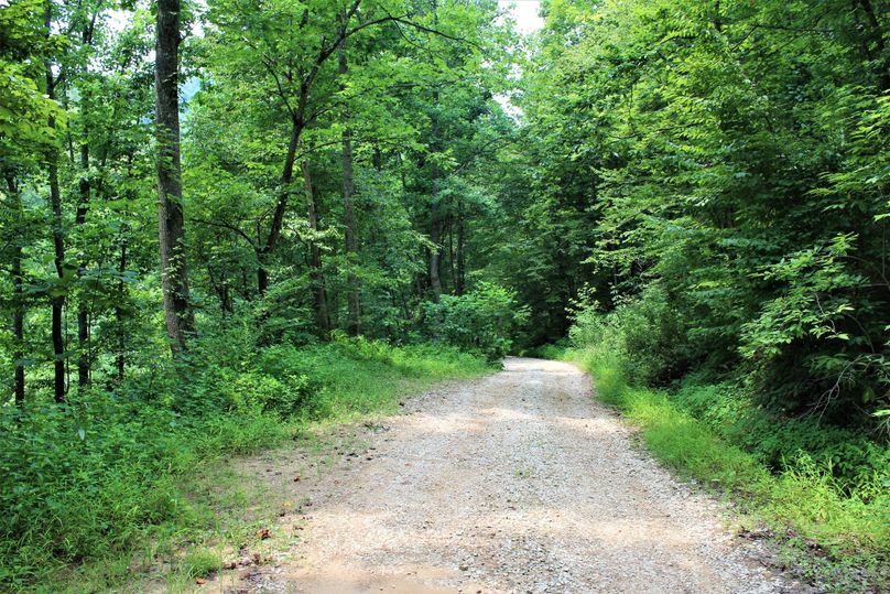 003 the quiet county gravel road leading to the property