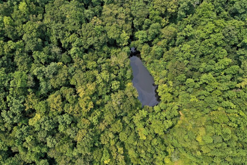 006 straight down aerial shot of the pond in the middle part of the property
