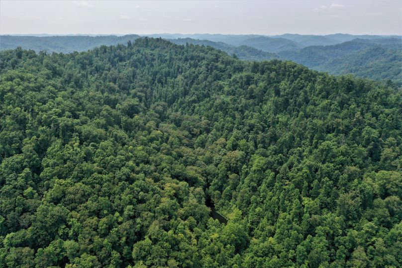 013 aerial drone shot from the east boundary overlooking the pond in the woods
