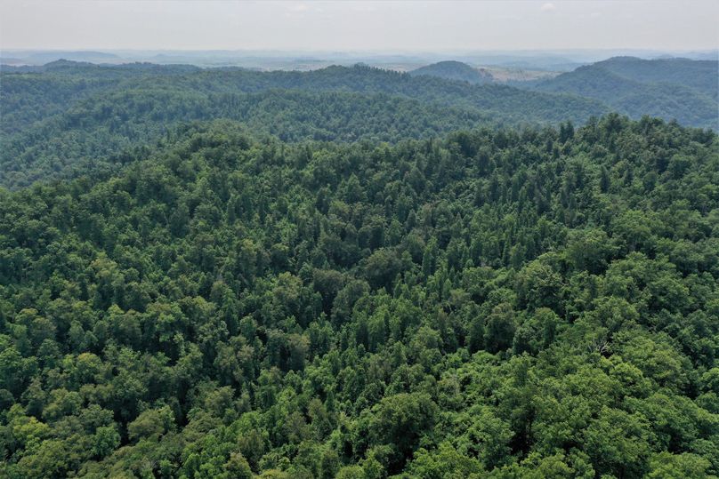011 aerial drone shot of the upper west part of the property