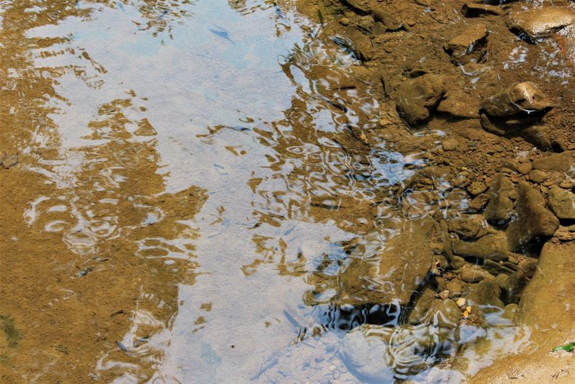 012 look close!  cool shot of the creek and all the minnows