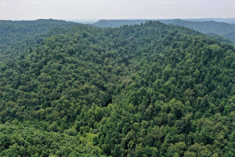 017 aerial drone shot from the southeast boundary looking south up fishtrap branch