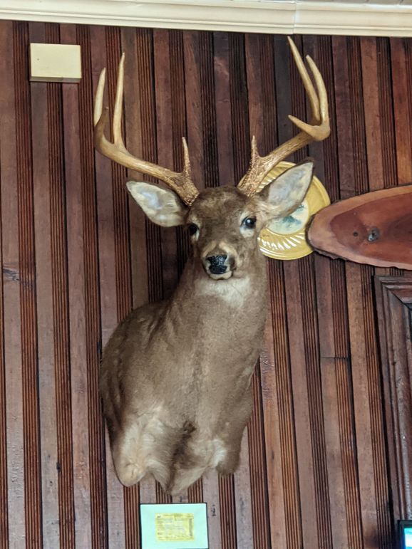 Pxl 20210625 150135195