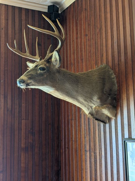 Pxl 20210625 150212790.mp