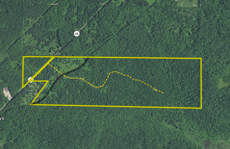 Screen shot 2021-06-25 at 4.01.03 pm