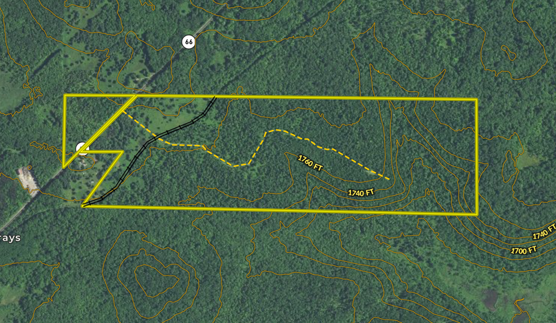 Screen shot 2021-06-25 at 4.13.13 pm