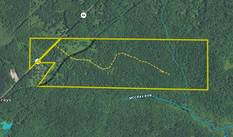 Screen shot 2021-06-25 at 4.13.30 pm