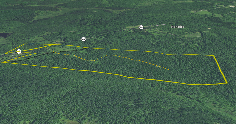 Screen shot 2021-06-25 at 4.15.08 pm